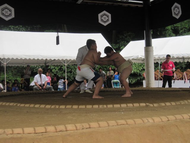 第3回野見宿禰わんぱく相撲大会出雲場所