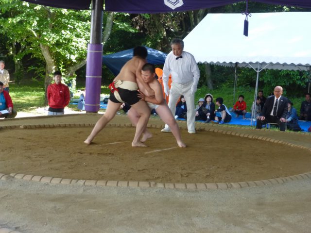 第4回野見宿禰わんぱく相撲大会出雲場所