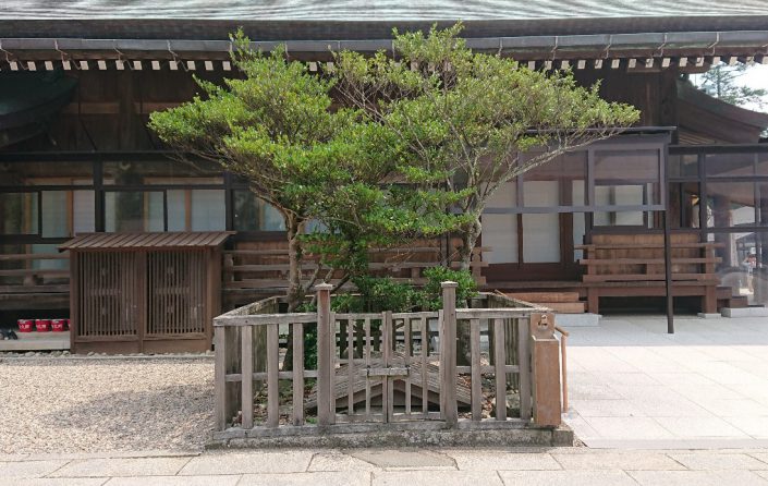 第四甲子祭
